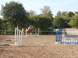 img_7177_web